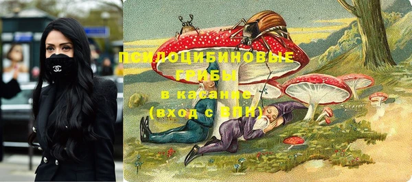 apvp Дмитров