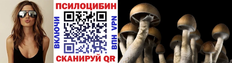 Купить  Кириши  Псилоцибиновые грибы Magic Shrooms 